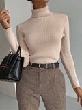 themeisles Solid Color Skinny Long Sleeves High Neck Sweater Tops Pullovers