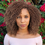 6 Inch Afro Bomb Curly Wig - Heat Resistant Fiber, Kinky Curly Synthetic Full Wig for Women, Side Part, Short Length, Natural Looking, Easy to Style, Breathable, Comfortable to Wear