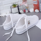 themeisles Canvas Shoes New Women's Clothes Spring  Small White Shoes Flat Skate Shoes Lazy Shoes Slip-on Half Support Wholesale