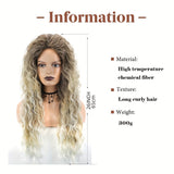 26 Inch Synthetic Ombre Wig - Effortlessly Chic Long Curly Wavy Style - Velvety Soft, Heat Resistant for Beginners - Perfect Daily Wear, Quick Transformation for Women