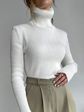 themeisles Solid Color Skinny Long Sleeves High Neck Sweater Tops Pullovers