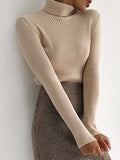 themeisles Solid Color Skinny Long Sleeves High Neck Sweater Tops Pullovers