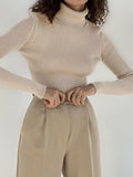 themeisles Solid Color Skinny Long Sleeves High Neck Sweater Tops Pullovers