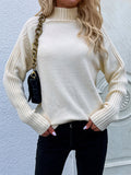 themeisles Stylish Long Sleeves Loose Solid Color High-Neck Sweater Tops