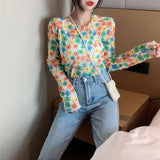 themeisles Angel Print Sheer Blue Black Mesh Long Sleeve Blouse Shirts Women Spring Summer Pullovers Elegant Sexy See Through Tops