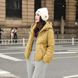 2023 women's new stand-up collar short down jacket winter women's jacket hooded small temperament Pinghu down