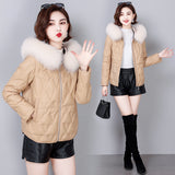 Haining sheepskin leather down jacket women's large size short fox fur collar thickened loose versatile down jacket