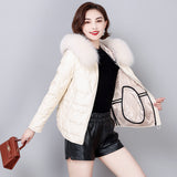 Haining sheepskin leather down jacket women's large size short fox fur collar thickened loose versatile down jacket