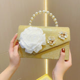 THEMEISLES 2025 New New versatile dress dinner hand bag flower shiny shoulder messenger chain bag 2025 retro women's bag