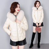 Haining sheepskin leather down jacket women's large size short fox fur collar thickened loose versatile down jacket