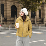 2023 women's new stand-up collar short down jacket winter women's jacket hooded small temperament Pinghu down