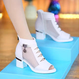 THEMEISLES New Foreign Trade High Heels Women's Mesh Sandals Women's Chunky Heels Mid Heel Sandal Boots Women's Sandals Mother Shoes Cross-Border