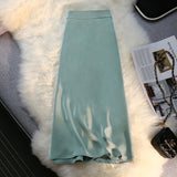 THEMEISLES Acetate Skirt for Women  Spring and Summer New High-Grade Satin Elastic Waist Mid-Length Large Swing High Waist Skirt