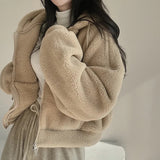 THEMEISLES Trendy brand lamb wool coat women's autumn and winter fleece thickened lamb wool sweater Korean version cardigan zipper 2023 short