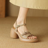 THEMEISLES Super Slimming ~ Slip-on Sandals for Women  Summer New Platform Platform Nude Color Ankle-Strap High Heels Comfortable 2025