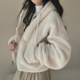 THEMEISLES Korean version of Popular trade lamb wool coat women's autumn and winter fleece thickened lamb wool sweater cardigan top 2023 new