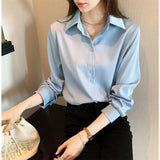 themeisles Plus Size Shirts Spring Summer Fashion Female Long Sleeve Loose Solid Blouse Tops Casual Chiffon Shirt Women Office Lady Shirts