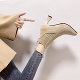 themeisles Autumn Winter Women Boots Elastic Ankle Boots Pointed Toe Thick Heel High Heels Shoes Woman Female Plus Fleece Warm Socks Boots