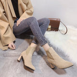 themeisles Autumn Winter Women Boots Elastic Ankle Boots Pointed Toe Thick Heel High Heels Shoes Woman Female Plus Fleece Warm Socks Boots