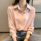 themeisles Plus Size Shirts Spring Summer Fashion Female Long Sleeve Loose Solid Blouse Tops Casual Chiffon Shirt Women Office Lady Shirts