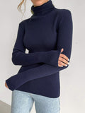 themeisles Solid Color Skinny Long Sleeves High Neck Sweater Tops Pullovers