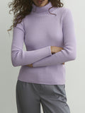 themeisles Solid Color Skinny Long Sleeves High Neck Sweater Tops Pullovers