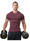 themeisles Men Muscle Tee T Shirt Stretch Short Sleeve Crew Neck Bodybuilding Workout Basic Daily Tops Navy White Wine Red